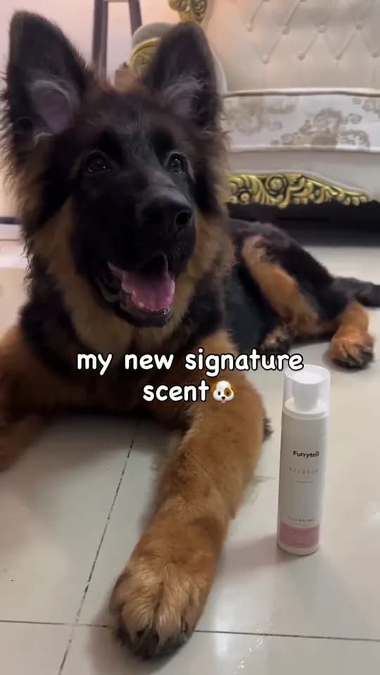 My new signature scent