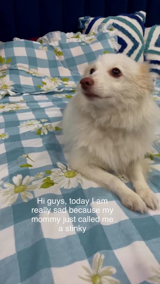 No more stinky days