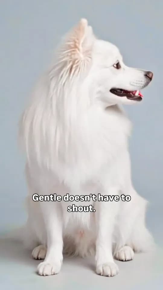 Gentle doesn’t have to shout