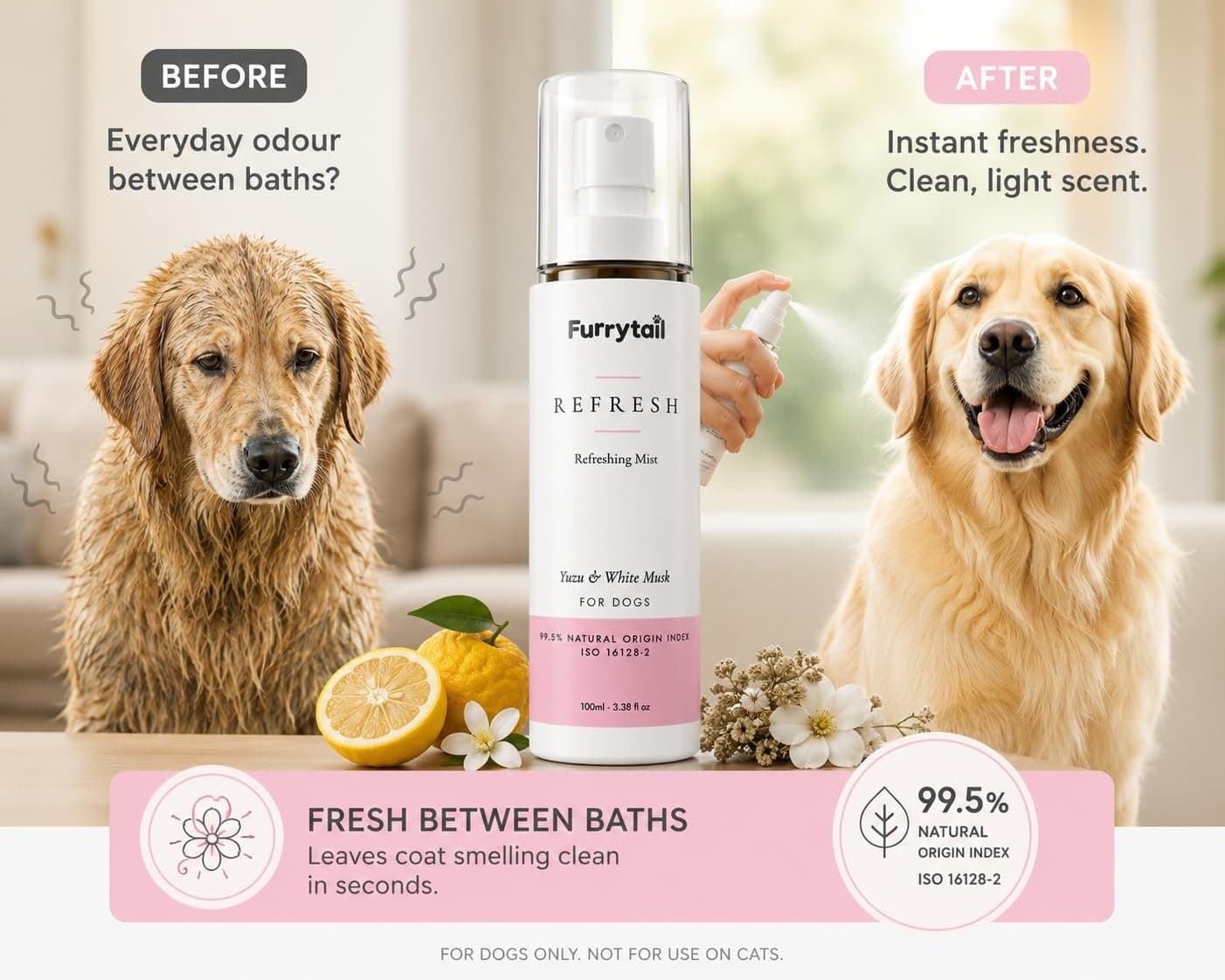 Refreshing Mist by Furrytail – photo 6 of 10