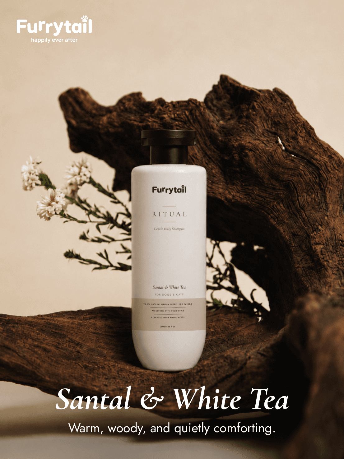Gentle Daily Shampoo — Santal & White Tea
